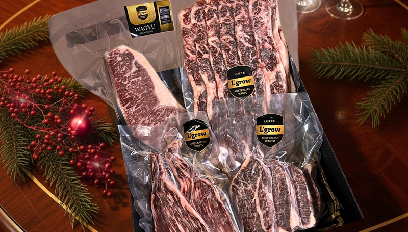 Christmas 2025 Collection