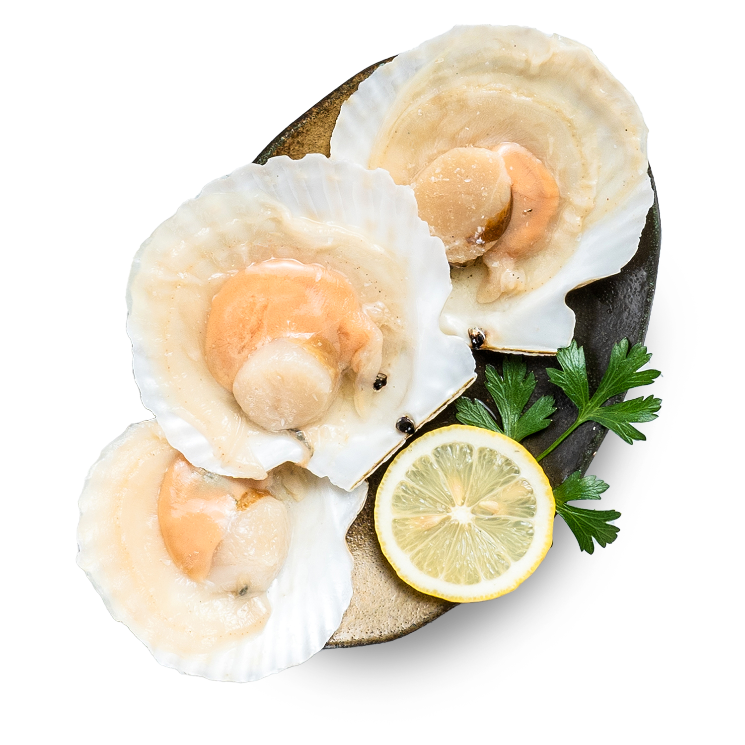 Half Shell Giant Scallops 1kg