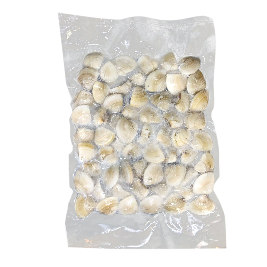 Chilean White Clams (MNL)